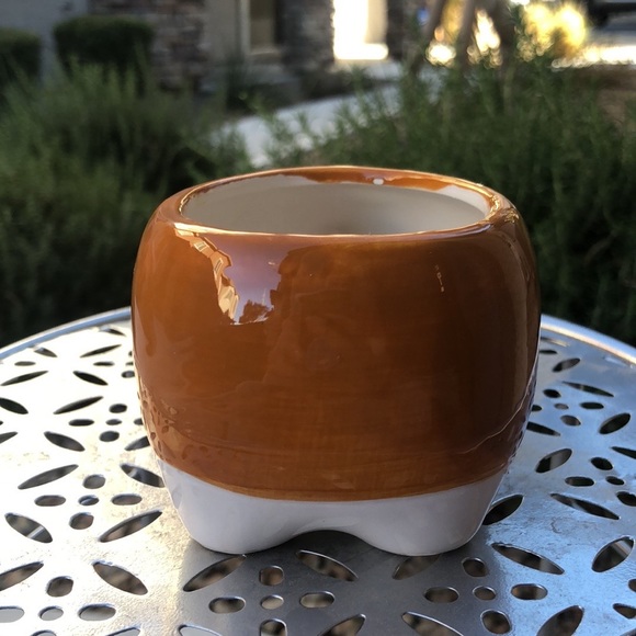 Harvey the Hedgehog Small Ceramic Planter Pot Decor & 2 Pairs of Socks Gift Set - Picture 5 of 14